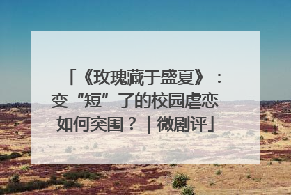 《玫瑰藏于盛夏》：变“短”了的校园虐恋如何突围？｜微剧评