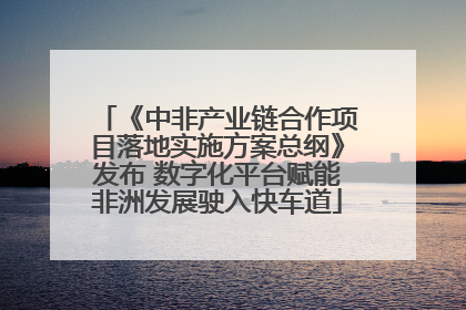 《中非产业链合作项目落地实施方案总纲》发布 数字化平台赋能非洲发展驶入快车道