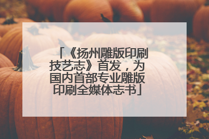 《扬州雕版印刷技艺志》首发，为国内首部专业雕版印刷全媒体志书