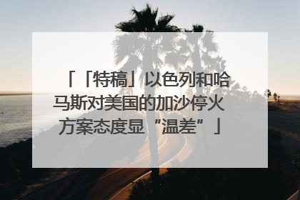 「特稿」以色列和哈马斯对美国的加沙停火方案态度显“温差”