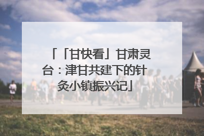 「甘快看」甘肃灵台：津甘共建下的针灸小镇振兴记