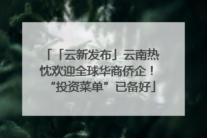 「云新发布」云南热忱欢迎全球华商侨企！“投资菜单”已备好