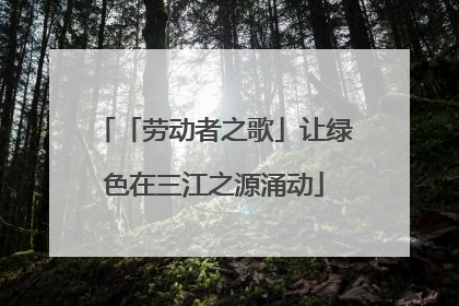「劳动者之歌」让绿色在三江之源涌动