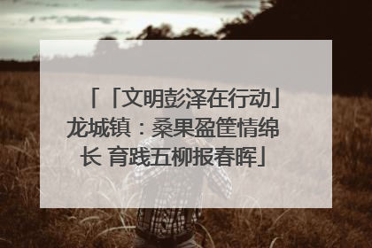 「文明彭泽在行动」龙城镇：桑果盈筐情绵长 育践五柳报春晖