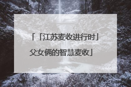 「江苏麦收进行时」父女俩的智慧麦收