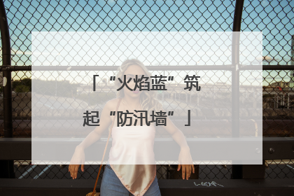 “火焰蓝”筑起“防汛墙”