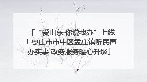 “爱山东·你说我办”上线！枣庄市市中区孟庄镇听民声办实事 政务服务暖心升级