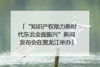 “知识产权助力新时代东北全面振兴”新闻发布会在黑龙江举办