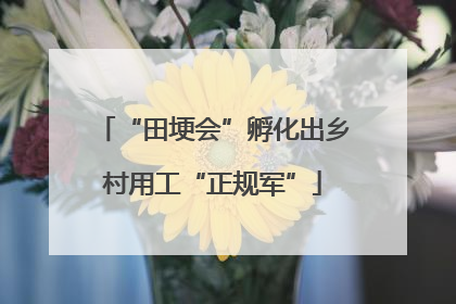 “田埂会”孵化出乡村用工“正规军”