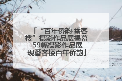 “百年侨韵·番客楼”摄影作品展揭幕 59幅摄影作品展现番客楼百年侨韵