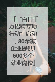 “百日千万招聘专项行动”启动，80余家企业提供1600多个就业岗位