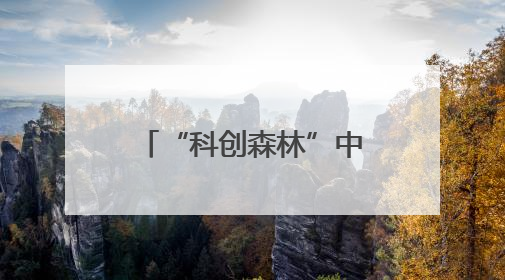 “科创森林”中的“金融新界”