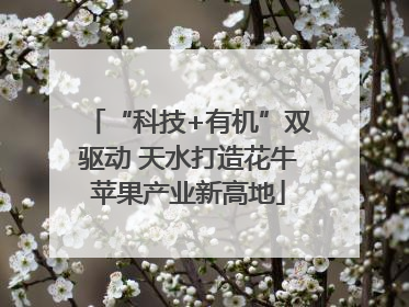 “科技+有机”双驱动 天水打造花牛苹果产业新高地