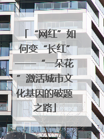 “网红”如何变“长红”——“一朵花”激活城市文化基因的破题之路