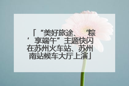 “美好旅途、‘粽’享端午”主题快闪在苏州火车站、苏州南站候车大厅上演