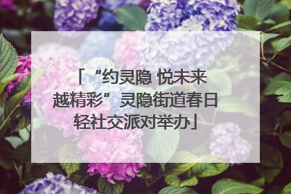 “约灵隐 悦未来 越精彩”灵隐街道春日轻社交派对举办
