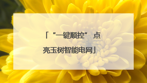 “一键顺控” 点亮玉树智能电网