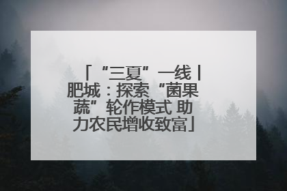 “三夏”一线丨肥城：探索“菌果蔬”轮作模式 助力农民增收致富