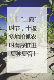 “三夏”时节，十堰多地抢抓农时有序推进夏种夏管