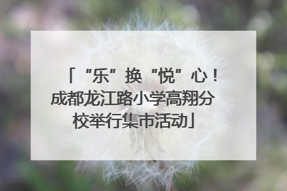 “乐”换“悦”心！成都龙江路小学高翔分校举行集市活动