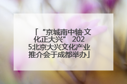 “京城南中轴·文化正大兴” 2025北京大兴文化产业推介会于成都举办