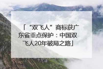 “双飞人”商标获广东省重点保护：中国双飞人20年破局之路