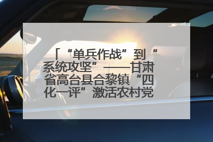 “单兵作战”到“系统攻坚”——甘肃省高台县合黎镇“四化一评”激活农村党员管理新引擎
