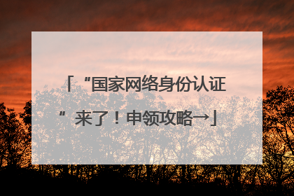 “国家网络身份认证”来了！申领攻略→