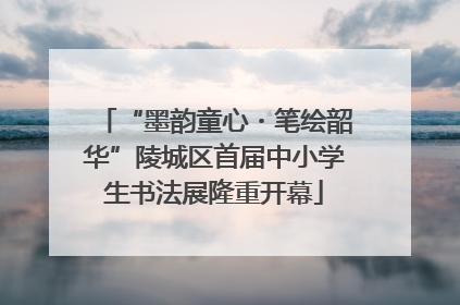 “墨韵童心・笔绘韶华”陵城区首届中小学生书法展隆重开幕