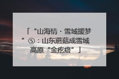“山海情・雪域援梦”⑤：山东蘑菇成雪域高原“金疙瘩”