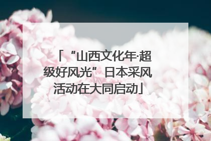 “山西文化年·超级好风光”日本采风活动在大同启动