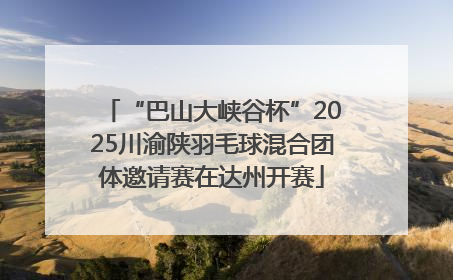 “巴山大峡谷杯”2025川渝陕羽毛球混合团体邀请赛在达州开赛