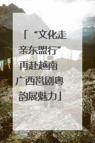 “文化走亲东盟行”再赴越南 广西邕剧粤韵展魅力