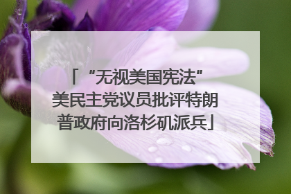 “无视美国宪法” 美民主党议员批评特朗普政府向洛杉矶派兵