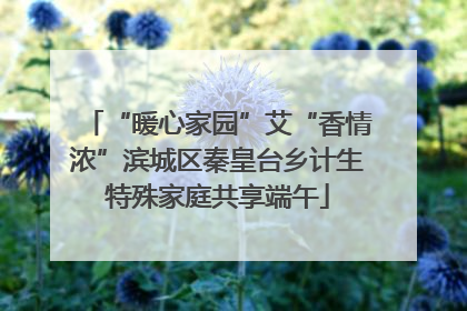 “暖心家园”艾“香情浓”滨城区秦皇台乡计生特殊家庭共享端午
