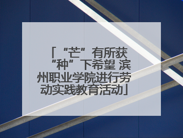 “芒”有所获 “种”下希望 滨州职业学院进行劳动实践教育活动