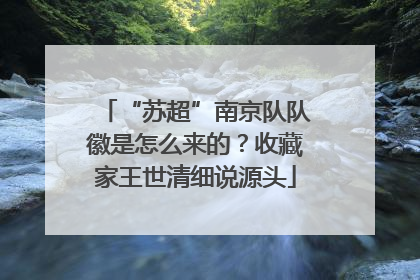 “苏超”南京队队徽是怎么来的？收藏家王世清细说源头