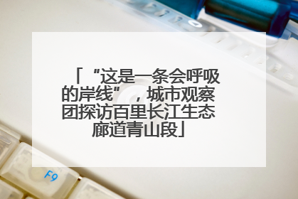 “这是一条会呼吸的岸线”，城市观察团探访百里长江生态廊道青山段