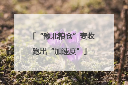 “豫北粮仓”麦收跑出“加速度”