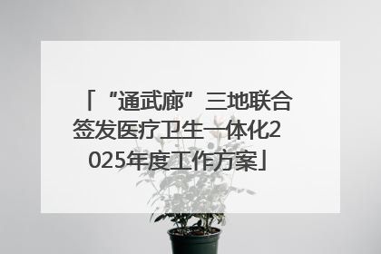 “通武廊”三地联合签发医疗卫生一体化2025年度工作方案