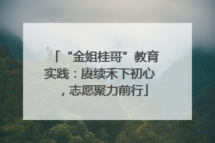 “金姐桂哥”教育实践：赓续禾下初心，志愿聚力前行