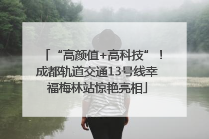 “高颜值+高科技”！成都轨道交通13号线幸福梅林站惊艳亮相