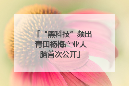 “黑科技”频出 青田杨梅产业大脑首次公开