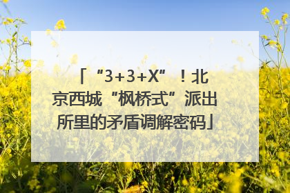 “3+3+X”！北京西城“枫桥式”派出所里的矛盾调解密码