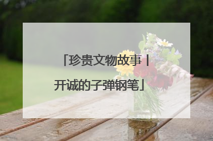 珍贵文物故事丨开诚的子弹钢笔