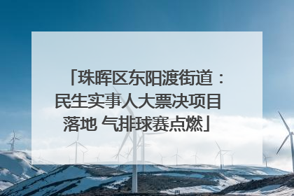 珠晖区东阳渡街道：民生实事人大票决项目落地 气排球赛点燃