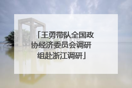 王勇带队全国政协经济委员会调研组赴浙江调研