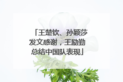 王楚钦、孙颖莎发文感谢，王励勤总结中国队表现