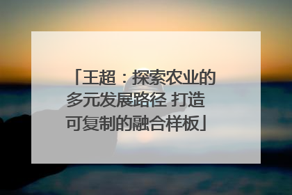 王超：探索农业的多元发展路径 打造可复制的融合样板