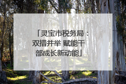 灵宝市税务局：双措并举 赋能干部成长新动能
